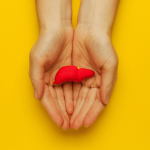 Hands gently holding a model of a liver on a bright yellow background, symbolizing the importance of harm reduction strategies in hep C prevention.